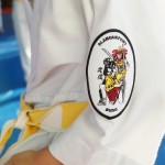 Judo_démo-logo
